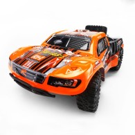 REMO HOBBY 1621 1/16 2.4Ghz 4WD off-road short course RC Truck