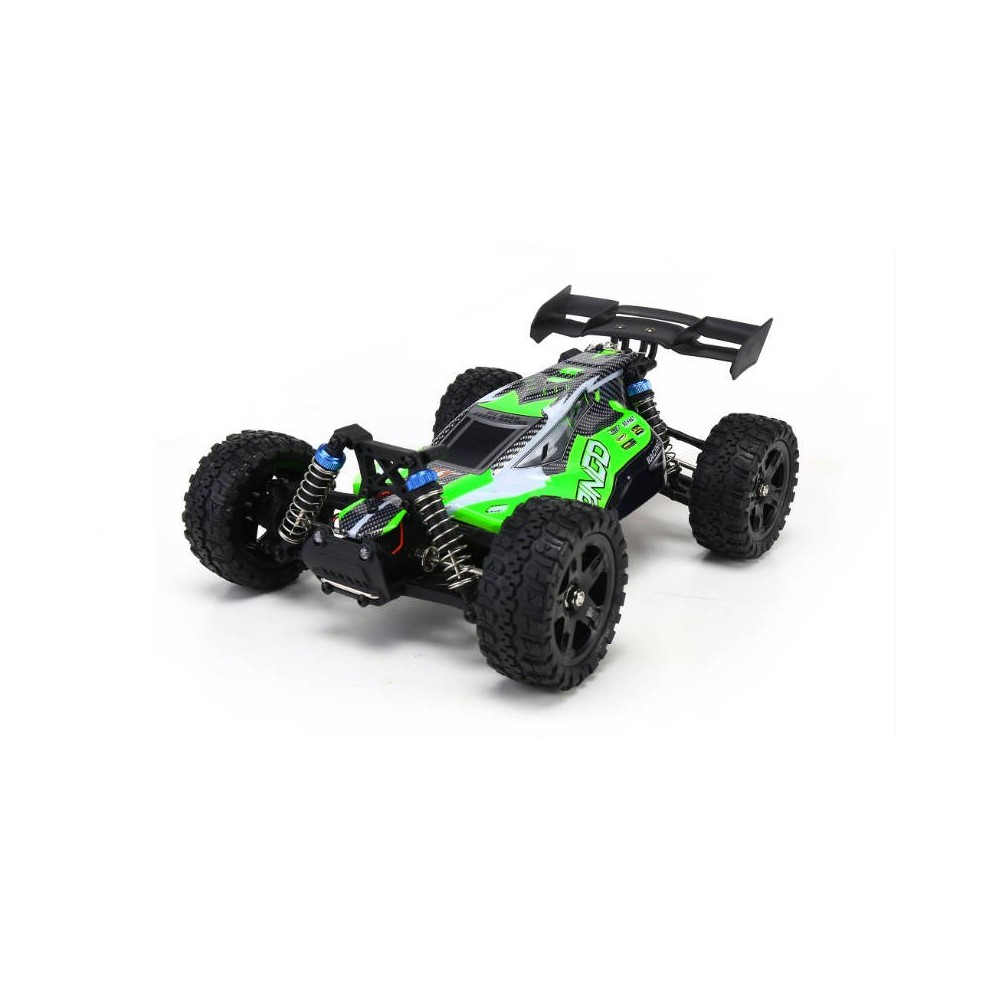 REMO HOBBY 1655 1/16 scale 2.4Ghz Brushless Off-road RC Truck green