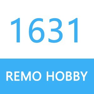 REMO HOBBY 1631 S-MAX, REMO HOBBY 1631 Parts